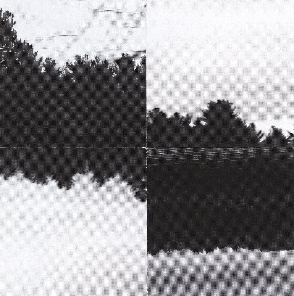 Black-and-white reflected tree-line photograph cut into four offset rectangular sections.