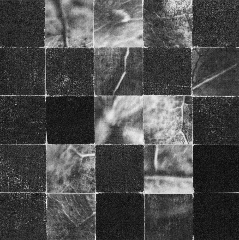 Black-and-white checkerboard collage alternating textured dark squares with leaf and wood photographs.