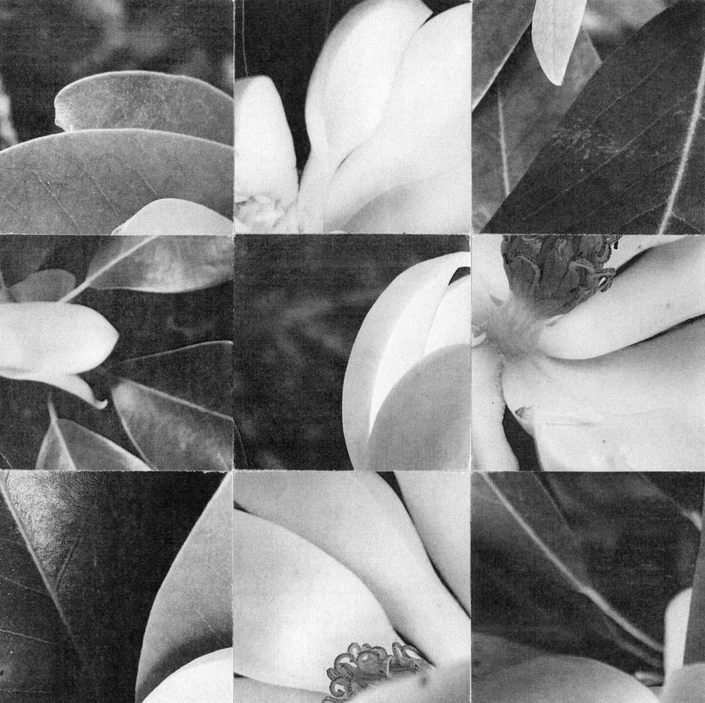 Nine-tile black-and-white flower collage assembled from pale petals and dark leaves.