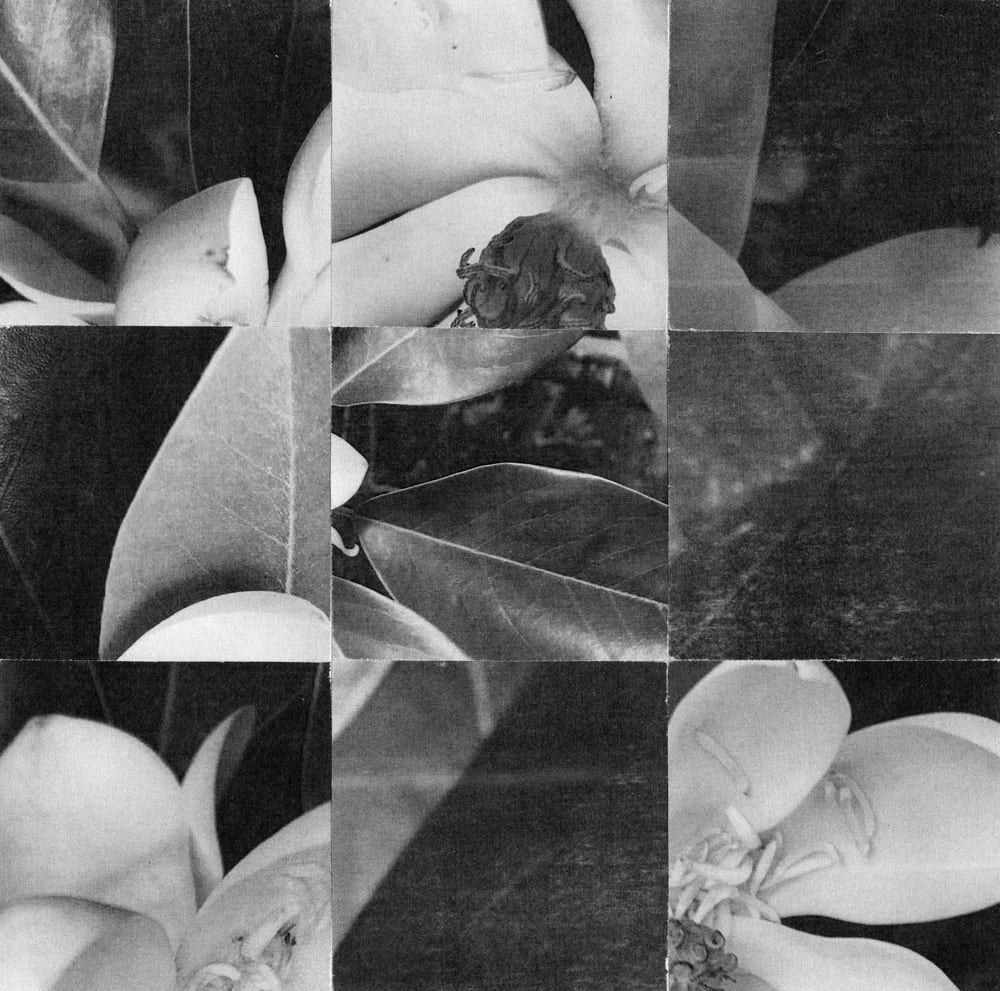 Nine-tile black-and-white collage mixing flower petals, leaves and dark photographic fragments.