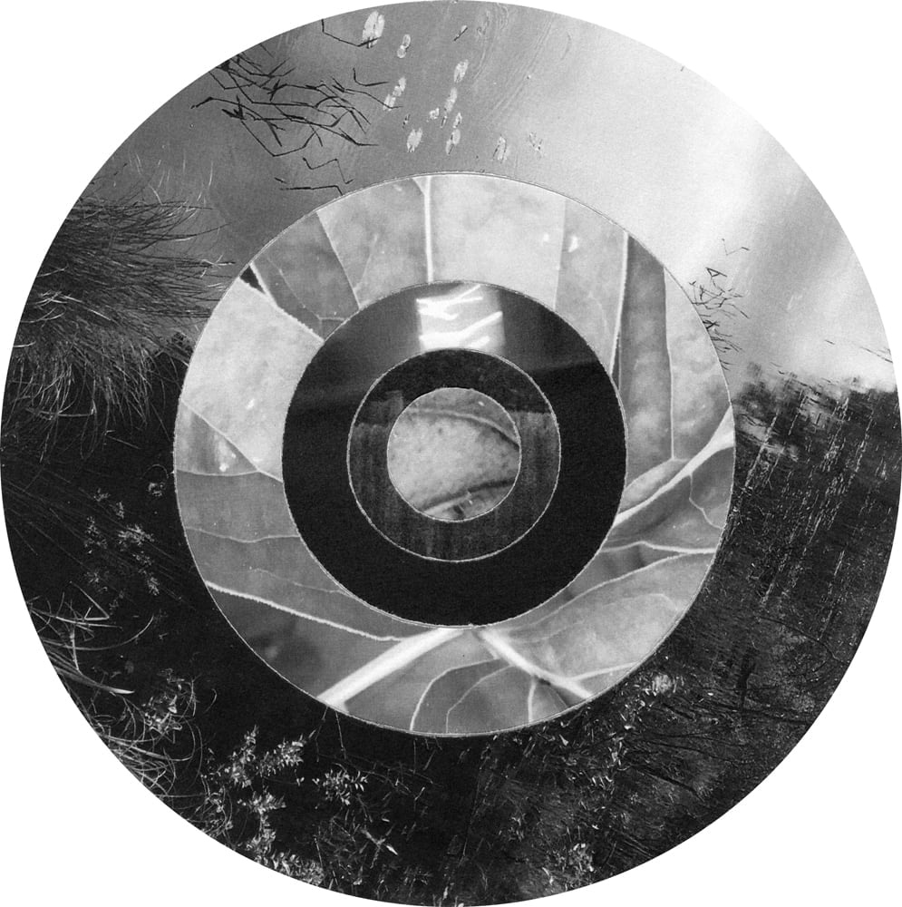 Circular black-and-white collage mixing bare branches, leaves and rough bark in concentric rings.