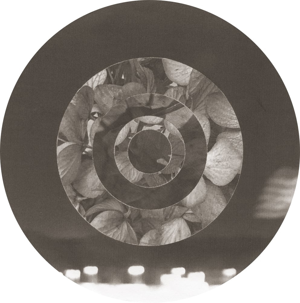 Brown-toned concentric rings around small flower photographs, with bright blurred lights along the bottom edge.
