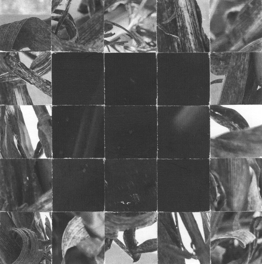 Black-and-white leaf collage with a dark three-by-three tile square at its center.