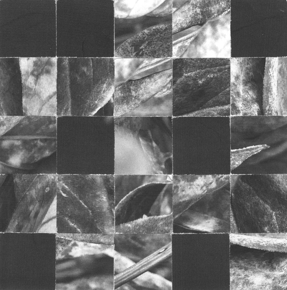 Black-and-white checkerboard collage of dark squares and cropped leaves and branches.