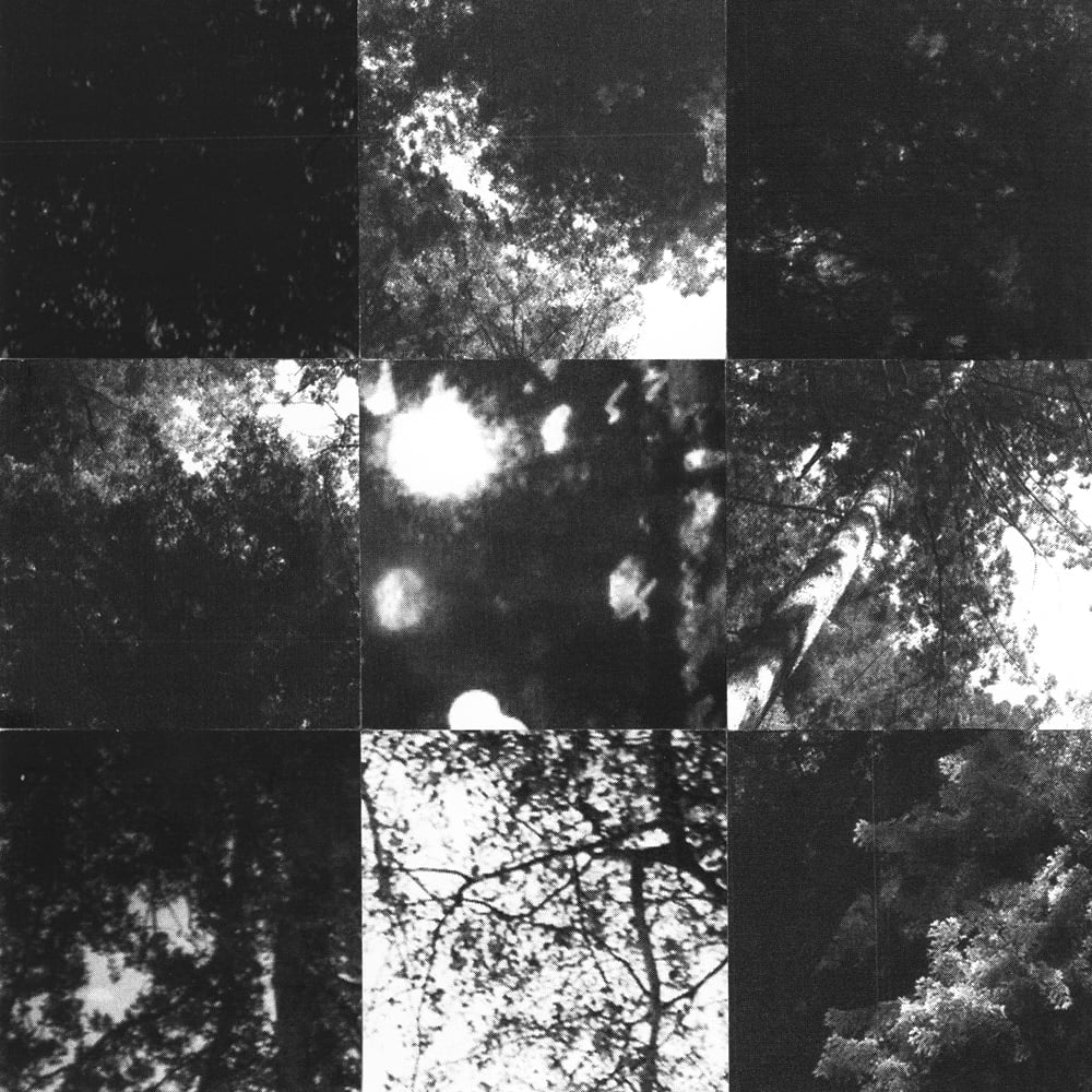 Nine-tile black-and-white collage of tree branches and blurred bright light spots.
