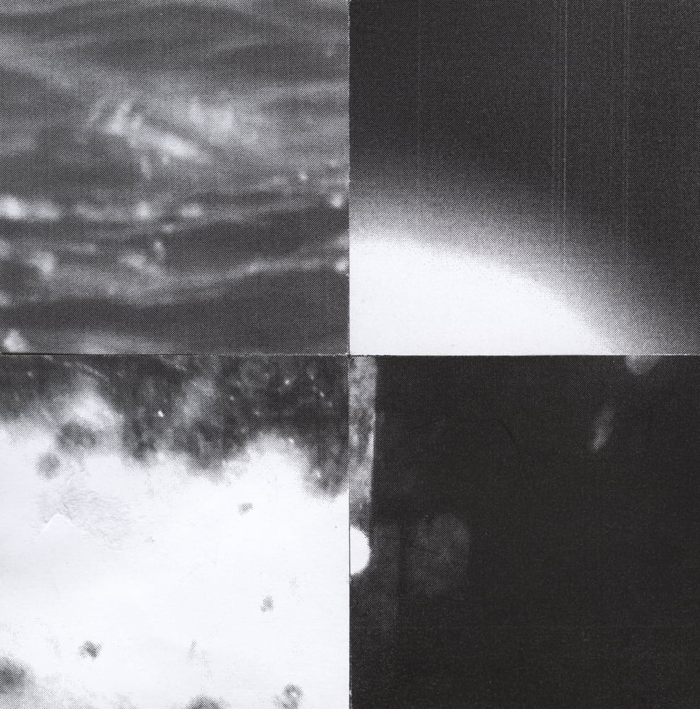 Four-tile black-and-white collage combining water, reflected trees and a bright blurred shape.