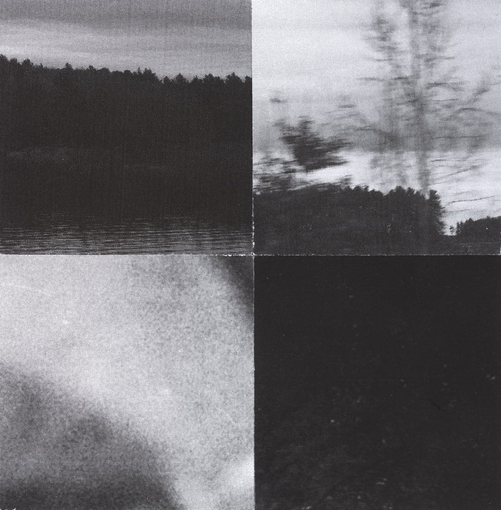 Four-tile black-and-white collage combining a reflected tree-line photograph with pale blurred fragments.
