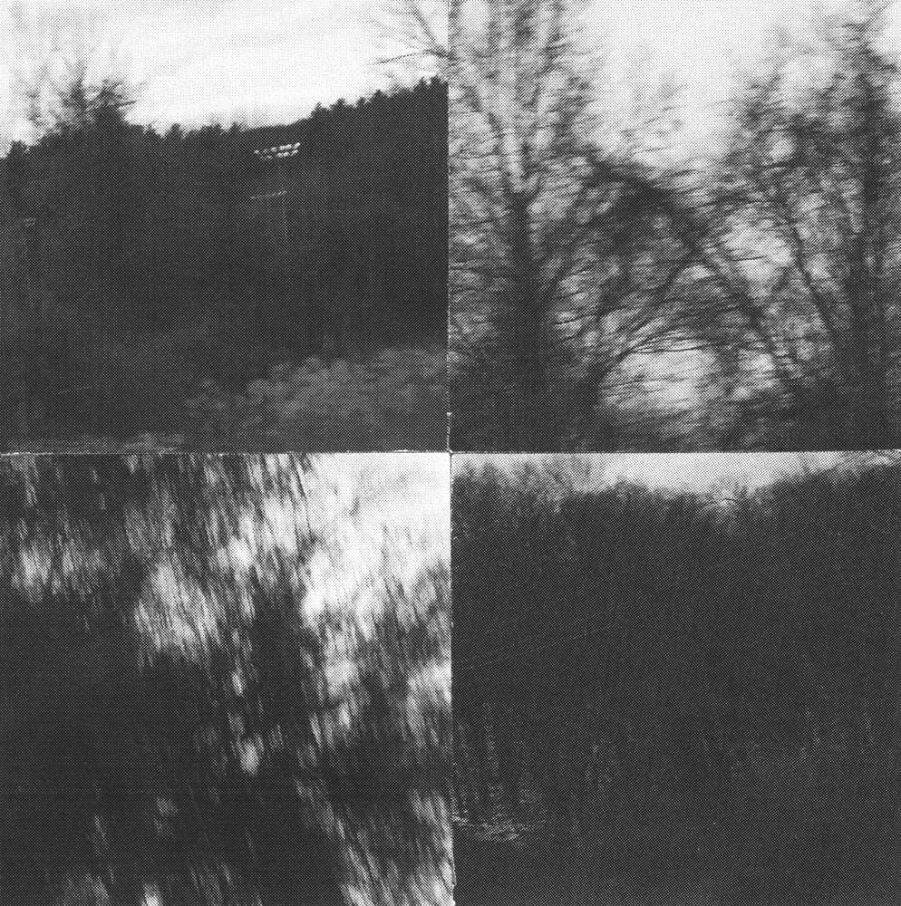 Four-tile black-and-white collage of mirrored tree-line and bare-branch photographs.