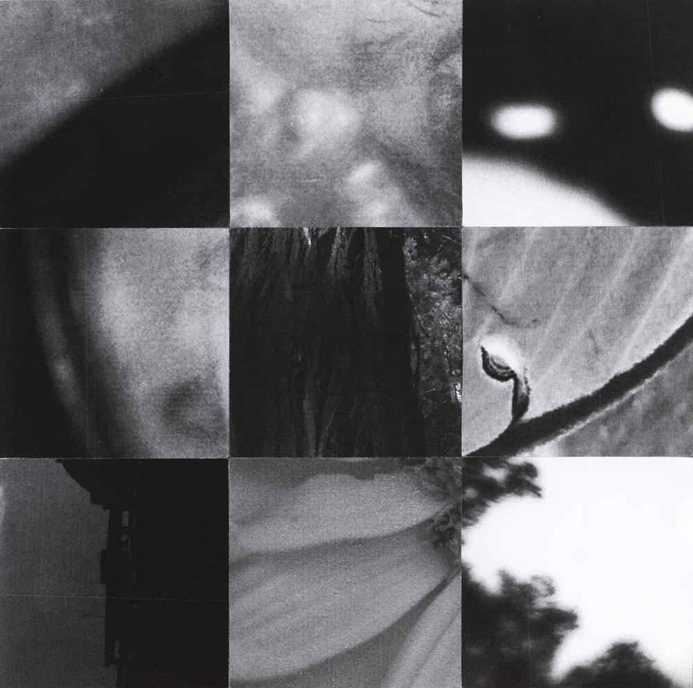 Nine-tile black-and-white collage mixing pale flower fragments, wood textures and bright blurred lights.