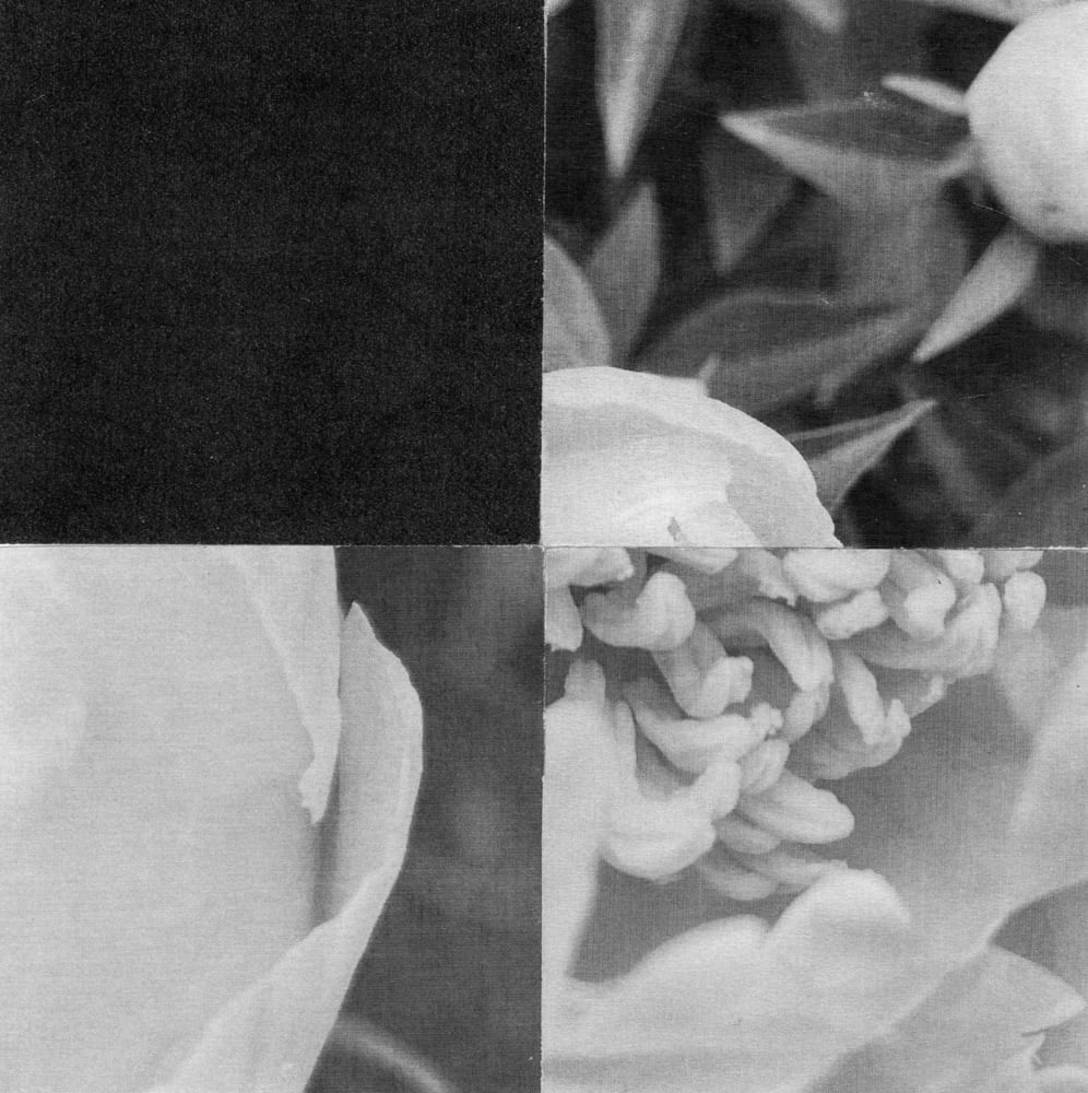 Four-tile black-and-white flower collage with a dark upper-left tile and a detailed flower center at lower right.
