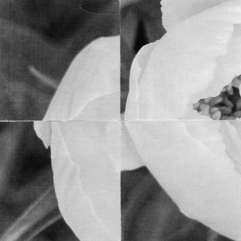 Four-tile black-and-white collage of a pale flower and dark photographic fragments.