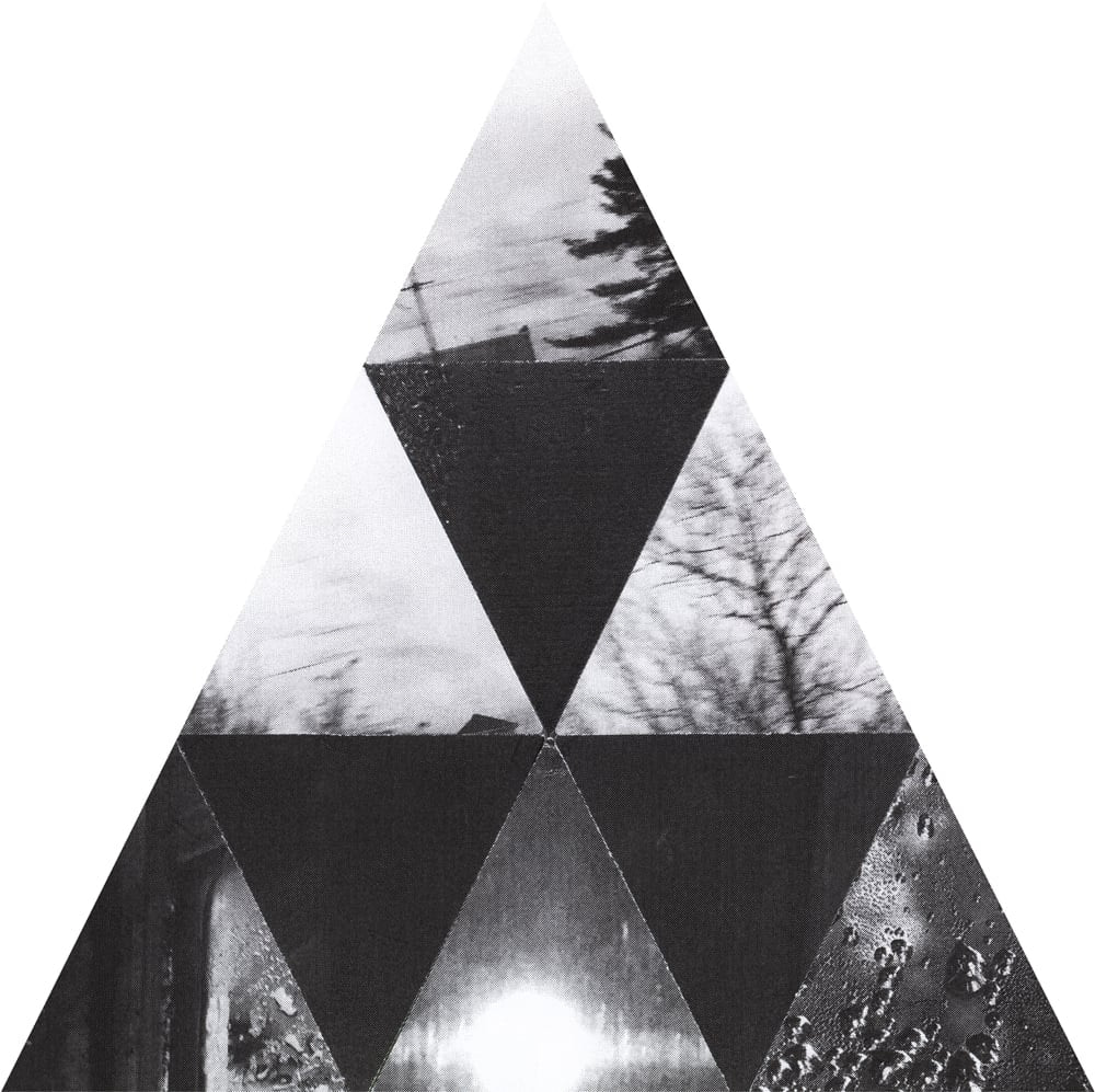 Tall triangular black-and-white collage of bare branches and landscape fragments with a dark central inverted triangle.