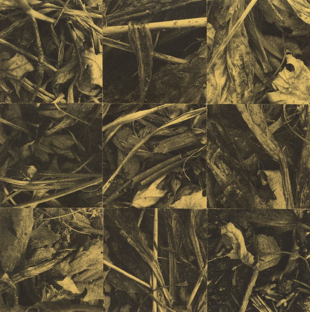 Nine-tile collage of bark, twigs and plant fragments in muted yellow and brown.