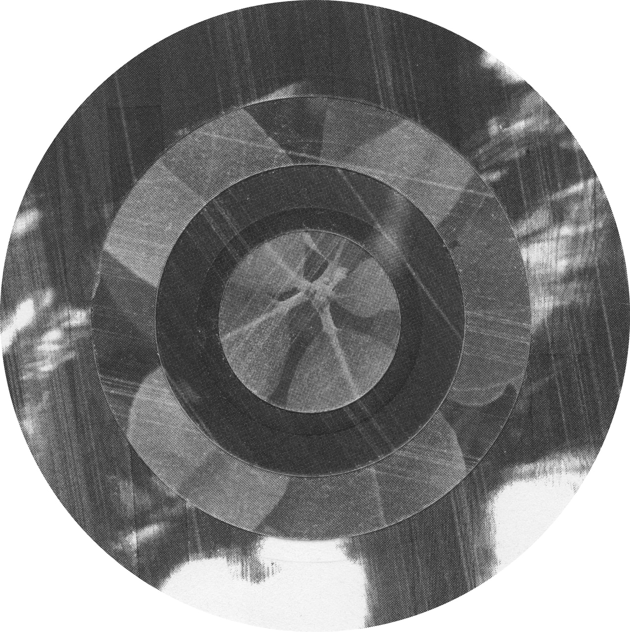 Concentric dark rings layered over a grayscale photograph of leaves within a circle.