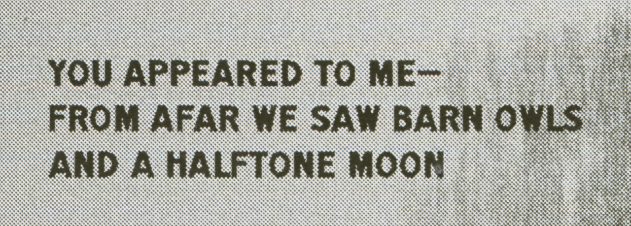 Poem in dark block lettering on gray halftone: You appeared to me—from afar we saw barn owls and a halftone moon.